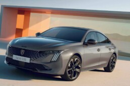 peugeot-start-stop-uzaktan-calistirma-ekranli-yedek-anahtar_ust